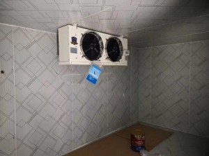 上?！ぜ味?0立方啤酒冷庫(0-5度）